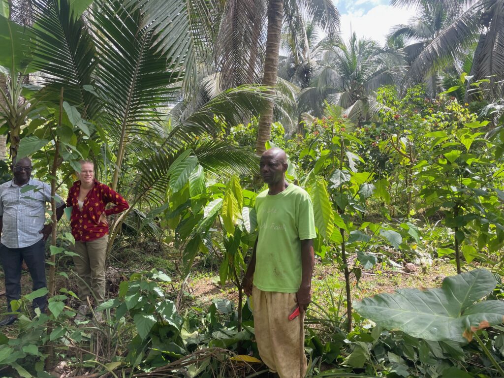 Visita a una explotación agrícola en una parcela agroforestal joven