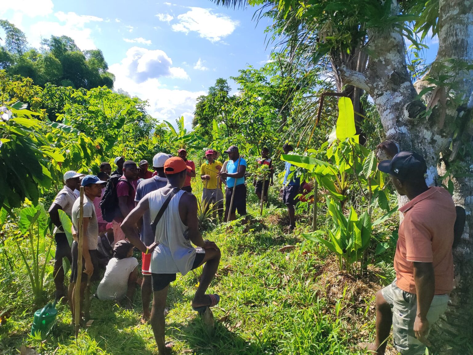 Farmers and technicians during a Dynamic Agroforestry field workshop