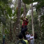 Female arborist practicing high-canopy pruning techniques during Dynamic Agroforestry training in a cocoa forest in Bolivia.