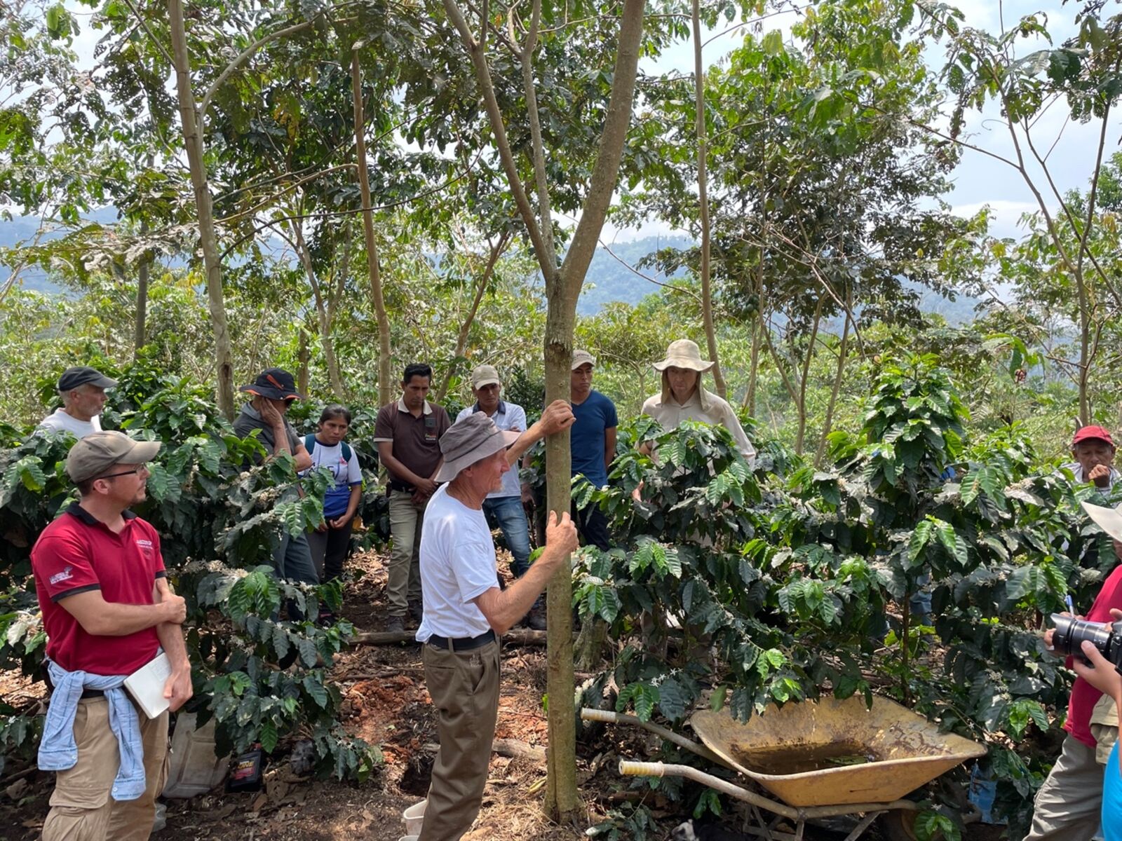 Trainer and participants in a coffee agroforestry plot during a pruning session