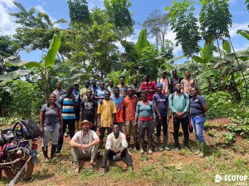 Dynamic Agroforestry training for trainers and youth farmers, Sankofa project, Ghana